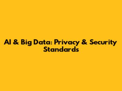 AI & Big Data: Privacy & Security Standards