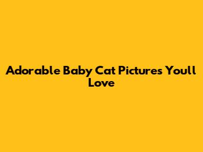 Adorable Baby Cat Pictures You'll Love