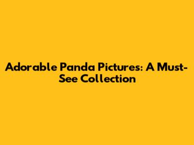 Adorable Panda Pictures: A Must-See Collection