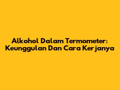 Alkohol Dalam Termometer: Keunggulan Dan Cara Kerjanya