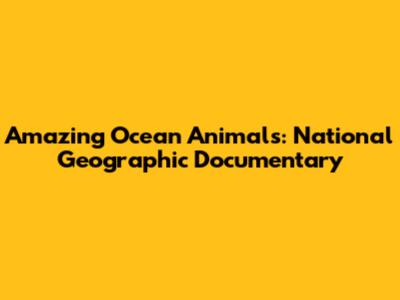 Amazing Ocean Animals: National Geographic Documentary