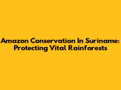 Amazon Conservation In Suriname: Protecting Vital Rainforests