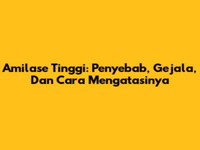 Amilase Tinggi: Penyebab, Gejala, Dan Cara Mengatasinya