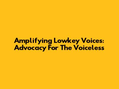 Amplifying Lowkey Voices: Advocacy For The Voiceless