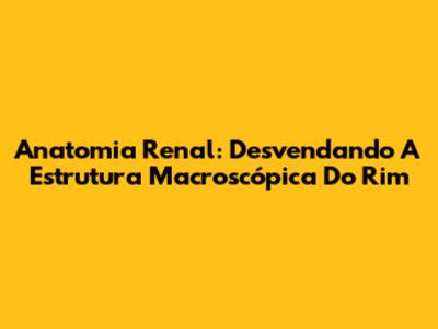 Anatomia Renal: Desvendando A Estrutura Macroscópica Do Rim