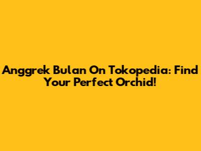 Anggrek Bulan On Tokopedia: Find Your Perfect Orchid!