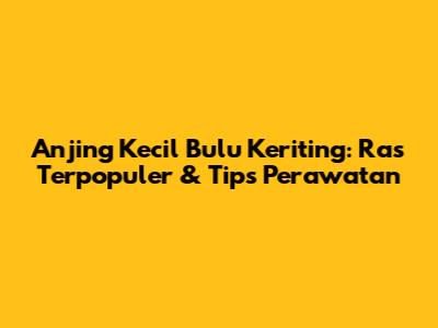Anjing Kecil Bulu Keriting: Ras Terpopuler & Tips Perawatan
