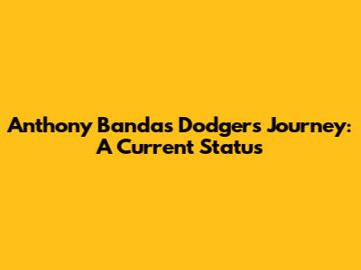Anthony Banda's Dodgers Journey: A Current Status