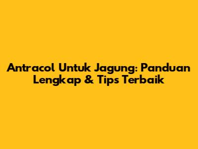 Antracol Untuk Jagung: Panduan Lengkap & Tips Terbaik