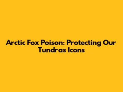 Arctic Fox Poison: Protecting Our Tundra's Icons
