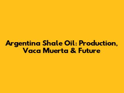Argentina Shale Oil: Production, Vaca Muerta & Future