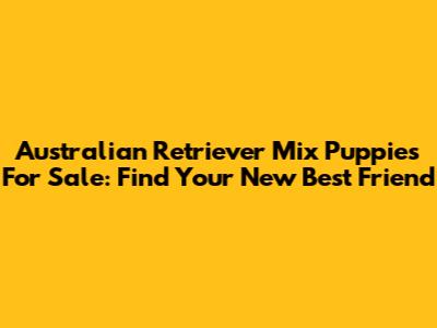 Australian Retriever Mix Puppies For Sale: Find Your New Best Friend