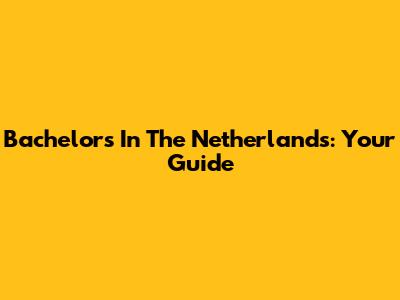 Bachelor's In The Netherlands: Your Guide