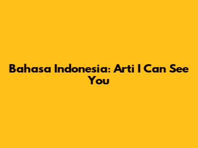 Bahasa Indonesia: Arti 'I Can See You'