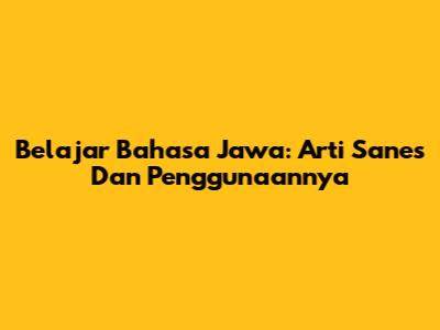 Belajar Bahasa Jawa: Arti 'Sanes' Dan Penggunaannya