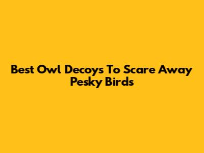Best Owl Decoys To Scare Away Pesky Birds