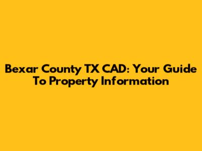 Bexar County TX CAD: Your Guide To Property Information
