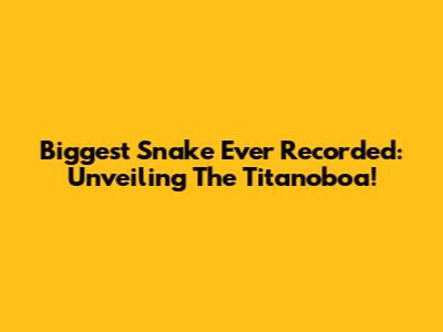 Biggest Snake Ever Recorded: Unveiling The Titanoboa!