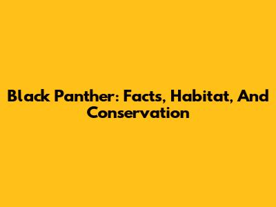 Black Panther: Facts, Habitat, And Conservation