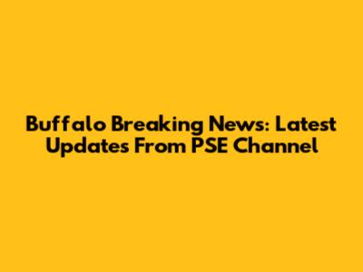 Buffalo Breaking News: Latest Updates From PSE Channel