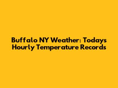 Buffalo NY Weather: Today's Hourly Temperature Records