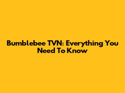 Bumblebee TVN: Everything You Need To Know