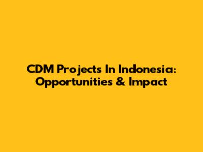 CDM Projects In Indonesia: Opportunities & Impact