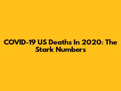 COVID-19 US Deaths In 2020: The Stark Numbers