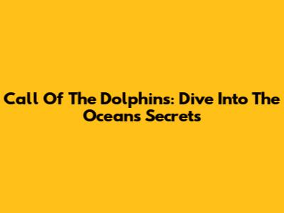 Call Of The Dolphins: Dive Into The Ocean's Secrets