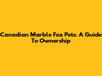 Canadian Marble Fox Pets: A Guide To Ownership