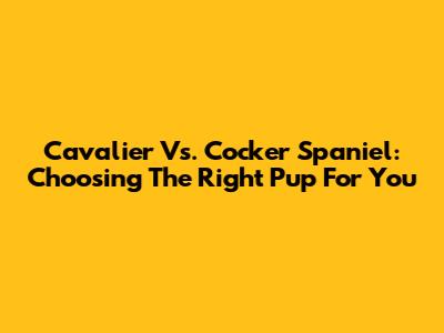 Cavalier Vs. Cocker Spaniel: Choosing The Right Pup For You