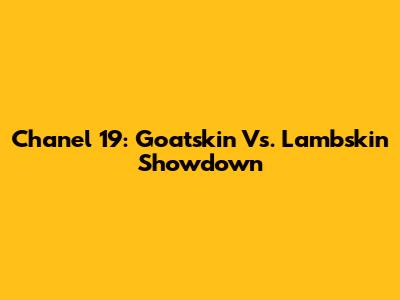 Chanel 19: Goatskin Vs. Lambskin Showdown
