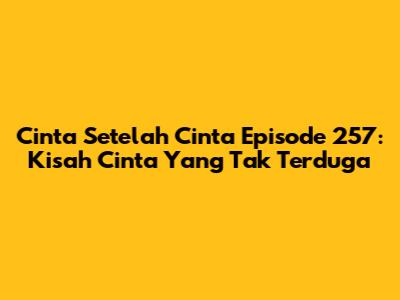 Cinta Setelah Cinta Episode 257: Kisah Cinta Yang Tak Terduga