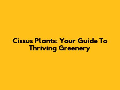 Cissus Plants: Your Guide To Thriving Greenery