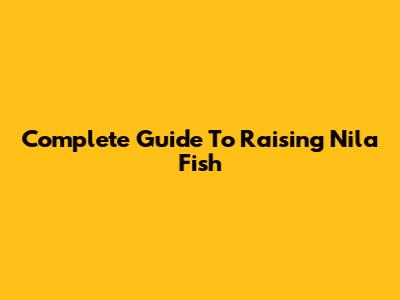 Complete Guide To Raising Nila Fish