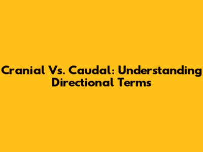 Cranial Vs. Caudal: Understanding Directional Terms
