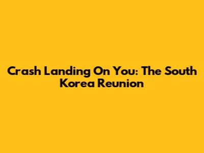 Crash Landing On You: The South Korea Reunion