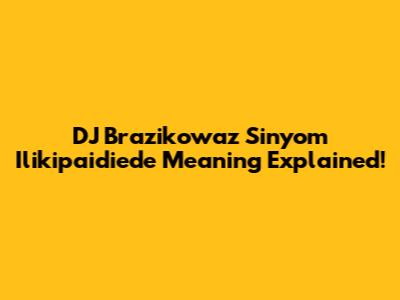 DJ Brazikowaz Sinyom Ilikipaidiede Meaning Explained!