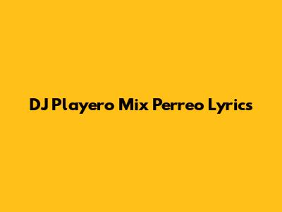 DJ Playero Mix Perreo Lyrics
