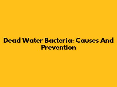 Dead Water Bacteria: Causes And Prevention