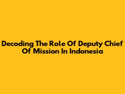Decoding The Role Of Deputy Chief Of Mission In Indonesia