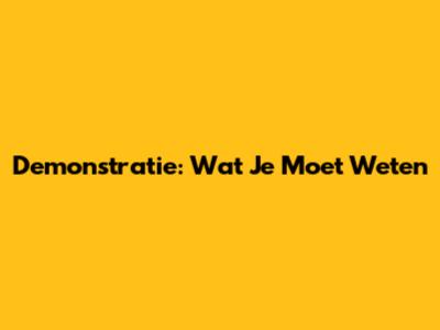 Demonstratie: Wat Je Moet Weten