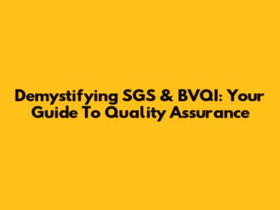 Demystifying SGS & BVQI: Your Guide To Quality Assurance