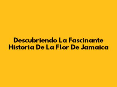 Descubriendo La Fascinante Historia De La Flor De Jamaica