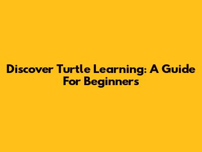 Discover Turtle Learning: A Guide For Beginners