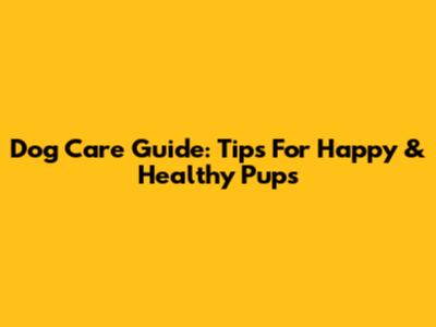 Dog Care Guide: Tips For Happy & Healthy Pups