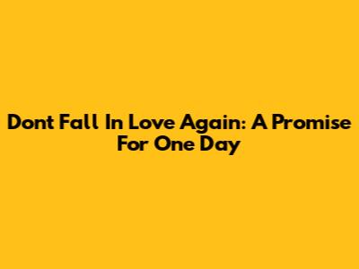 Don't Fall In Love Again: A Promise For One Day