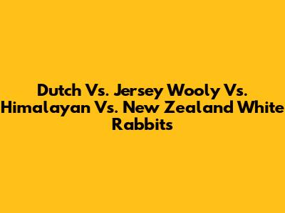 Dutch Vs. Jersey Wooly Vs. Himalayan Vs. New Zealand White Rabbits