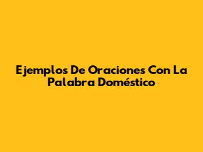 Ejemplos De Oraciones Con La Palabra 'Doméstico'