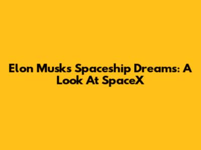 Elon Musk's Spaceship Dreams: A Look At SpaceX